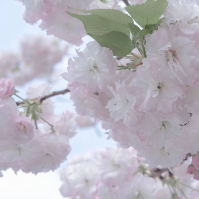 兽设动态构图思路福瑞交流群